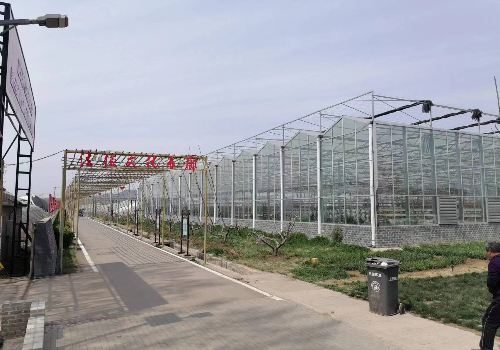 溫室大棚建設(shè)造價多少錢一平？