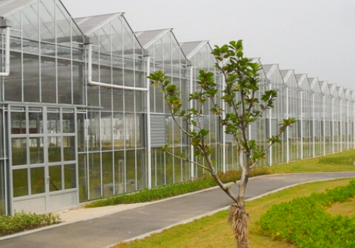常規(guī)玻璃溫室大棚建設(shè)標準