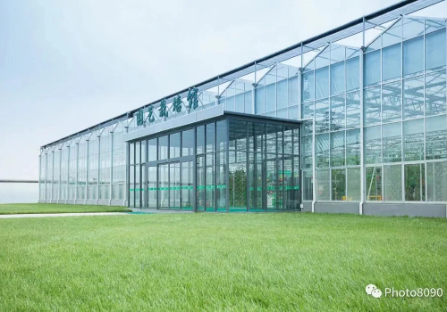 【蔬菜大棚建設(shè)】讓質(zhì)量與品質(zhì)并存，從源頭做起！